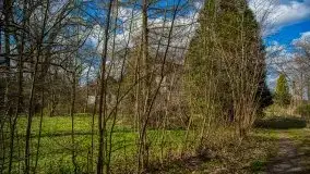 Pałac w Bęsi, na który rzucono klątwę - zdjęcie 16