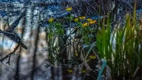 Zachód Słońca Piękna Góra, jez. Kisajno - zdjęcie 17