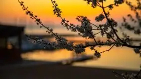 Wschód Słońca, Wilkasy, jezioro Niegocin - zdjęcie 2