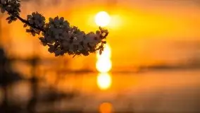 Wschód Słońca, Wilkasy, jezioro Niegocin - zdjęcie 67