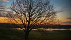 Wschód słońca, jezioro Buwełno - zdjęcie 45