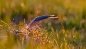 Wschód słońca, jezioro Buwełno - zdjęcie 3