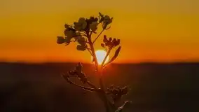 Zachód słońca niedaleko wsi Sulimy - zdjęcie 10