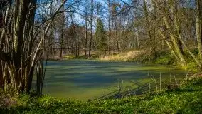 Zdjęcia: Pałac w Skandławkach – do kupienia romantyczna pozostałość dawnych Mazur - zdjęcie 35