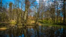 Zdjęcia: Pałac w Skandławkach – do kupienia romantyczna pozostałość dawnych Mazur - zdjęcie 41