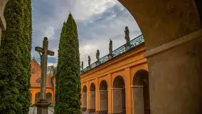 Święta Lipka, wiosna 2020 r. - zdjęcie 34