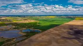 Mazurskie pola rzepaku na początku maja 2020 r. - zdjęcie 27