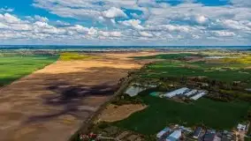 Mazurskie pola rzepaku na początku maja 2020 r. - zdjęcie 29