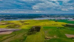 Mazurskie pola rzepaku na początku maja 2020 r. - zdjęcie 31