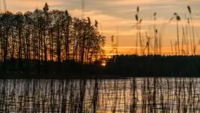 Zachód słońca nad jeziorem Ryńskim, Rybical - zdjęcie 12