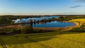 Złoto w kolorach słońca i rzepaku, maj 2020.r - zdjęcie 5