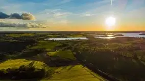 Złoto w kolorach słońca i rzepaku, maj 2020.r - zdjęcie 25