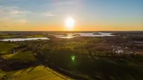 Złoto w kolorach słońca i rzepaku, maj 2020.r - zdjęcie 3