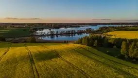 Złoto w kolorach słońca i rzepaku, maj 2020.r - zdjęcie 12