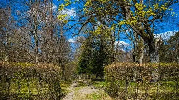 Jeden z piękniejszych pałaców na Mazurach - Łężany - zdjęcie 6