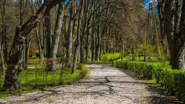 Jeden z piękniejszych pałaców na Mazurach - Łężany - zdjęcie 11