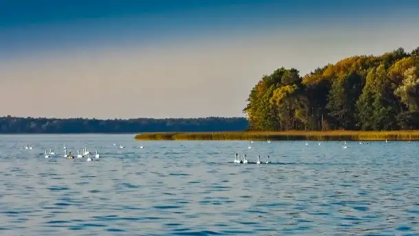 Zdjęcia: Poradnik - motorowodne Mazury - jezioro Dargin - zdjęcie 4