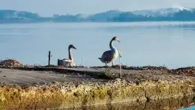 Zdjęcia: Poradnik - motorowodne Mazury - kanały między jeziorami Szymoneckie i Tałty - zdjęcie 7