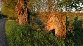 Wschód to nie tylko słońce, to także przejmująca cisza - zdjęcie 8