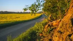 Wschód to nie tylko słońce, to także przejmująca cisza - zdjęcie 29