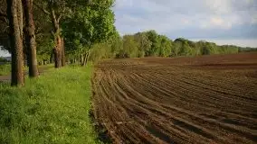 Wschód to nie tylko słońce, to także przejmująca cisza - zdjęcie 21