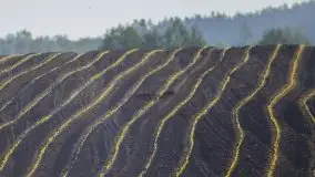 Wschód to nie tylko słońce, to także przejmująca cisza - zdjęcie 17