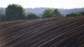 Wschód to nie tylko słońce, to także przejmująca cisza - zdjęcie 23