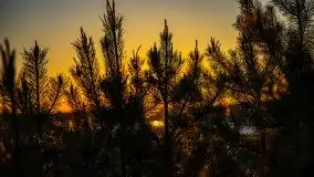 Zachód słońca widoczny z Grodzisko Święta Góra - zdjęcie 11