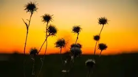 Zachód słońca widoczny z Grodzisko Święta Góra - zdjęcie 26