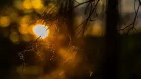 Kolejny raz magia zachodu słońca, okolice jez. Jagodne - zdjęcie 9