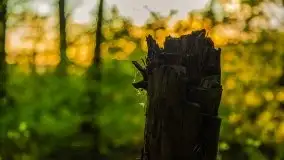 Kolejny raz magia zachodu słońca, okolice jez. Jagodne - zdjęcie 16