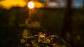 Kolejny raz magia zachodu słońca, okolice jez. Jagodne - zdjęcie 12