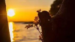 Majowy zachód słońca nad jeziorem Dargin - zdjęcie 9