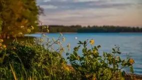 Majowy zachód słońca nad jeziorem Dargin - zdjęcie 26