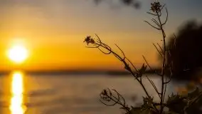 Majowy zachód słońca nad jeziorem Dargin - zdjęcie 35