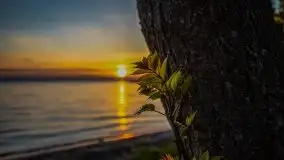 Majowy zachód słońca nad jeziorem Dargin - zdjęcie 20