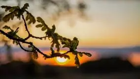 Zachód słońca w okolicy Kut i jeziora Czarna Kuta - zdjęcie 22