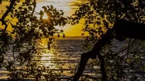 Wieczór nad Niegocinem i Grajewkiem - zdjęcie 11