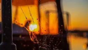 Wieczorne słońce nad jeziorem Święcajty - zdjęcie 12