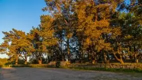 Wieczorne słońce nad jeziorem Święcajty - zdjęcie 14