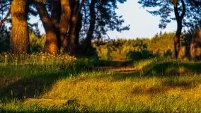 Wieczorne słońce nad jeziorem Święcajty - zdjęcie 30