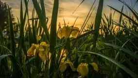 Zachód słońca w okolicach miejscowości Miłki - zdjęcie 15