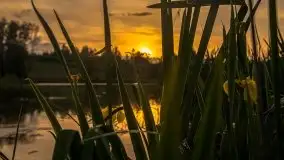 Zachód słońca w okolicach miejscowości Miłki - zdjęcie 23