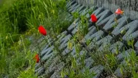 Wschód słońca w Giżycku, jezioro Niegocin - zdjęcie 73