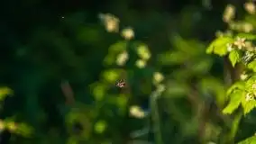 Zachód słońca Pierkunowski Róg - zdjęcie 12