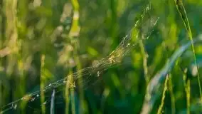 Zachód słońca Pierkunowski Róg - zdjęcie 31