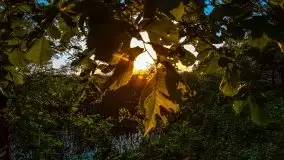 Zachód słońca Pierkunowski Róg - zdjęcie 51