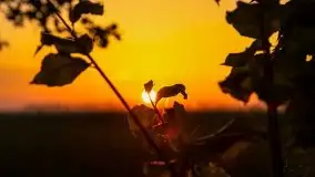 Zachód słońca Pierkunowski Róg - zdjęcie 3