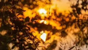 Niegocin migoczący w zachodzącym słońcu - zdjęcie 34