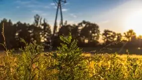 Zachód słońca nad jeziorem Gawlik - zdjęcie 22